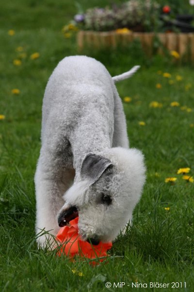 2011-04-23 Quincy etc (39).jpg